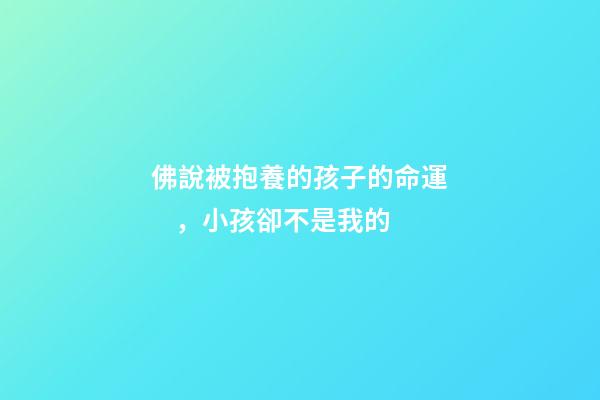 佛說被抱養的孩子的命運，小孩卻不是我的